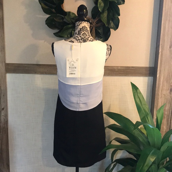 NWT Layered Ombre Sleeveless Dress - Picture 4 of 7